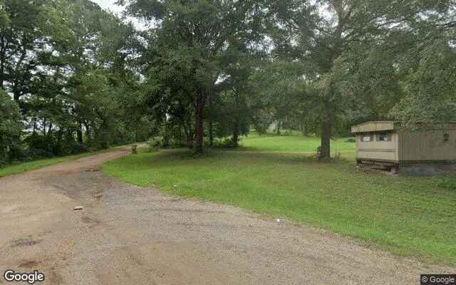Decorative background for 35.03 Acres in Daingerfield - Morris County, TX image 5