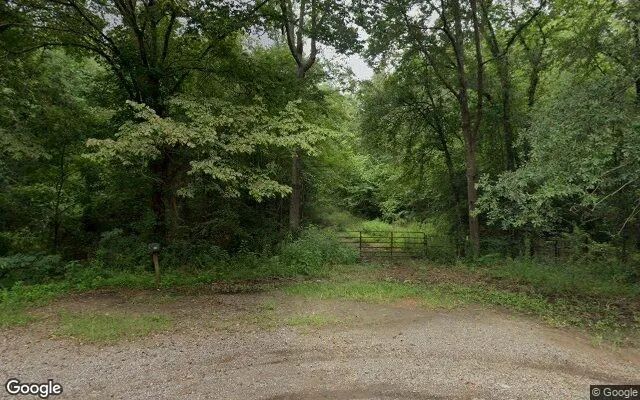 Decorative background for 35.03 Acres in Daingerfield - Morris County, TX image 6