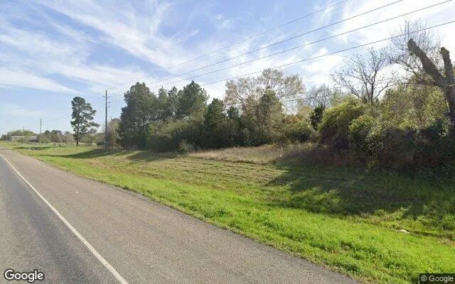 Decorative background for 0.55 Acres in Sealy - Austin County, TX image 6