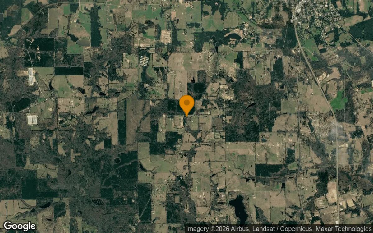 1.51 Acres in Pittsburg - Camp County, TX - Image 3