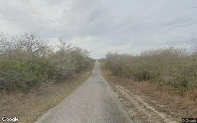 Decorative background for 35.1 Acres in Orange Grove - Jim Wells County, TX image 6