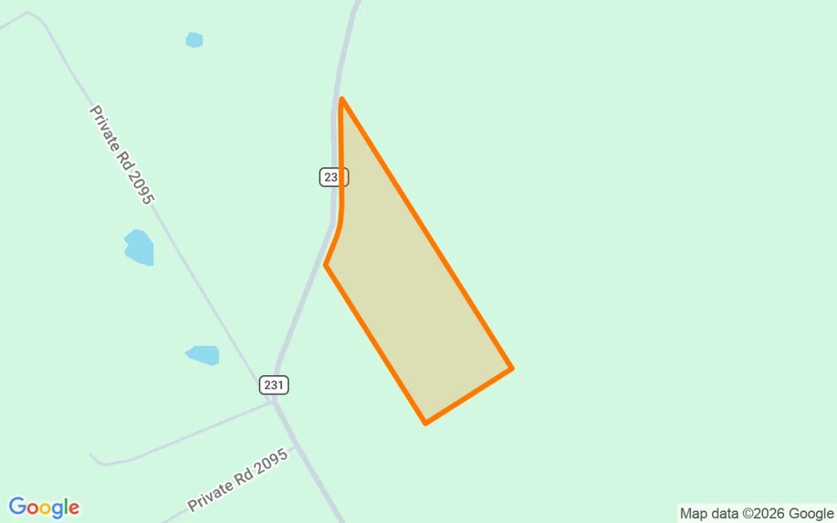 15.01 Acres in Centerville - Leon County, TX - Image 2