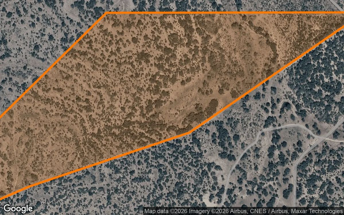Decorative background for 124.6 Acres in Rocksprings - Edwards County, TX image 6