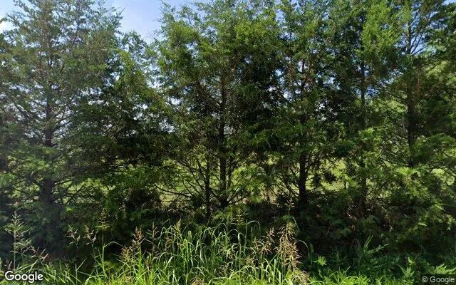 1.5 Acres in Lone Oak - Rains County, TX in Rains County, TX