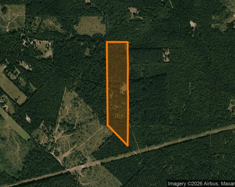 35.03 Acres in Jefferson - Marion County, TX in Marion County, TX