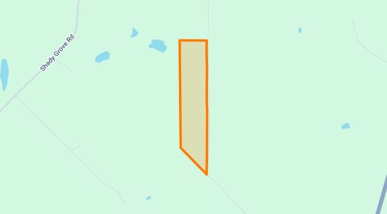 35.03 Acres in Jefferson - Marion County, TX in Marion County, TX