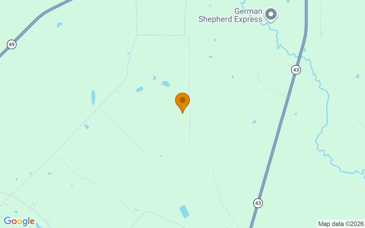 35.03 Acres in Jefferson - Marion County, TX in Marion County, TX