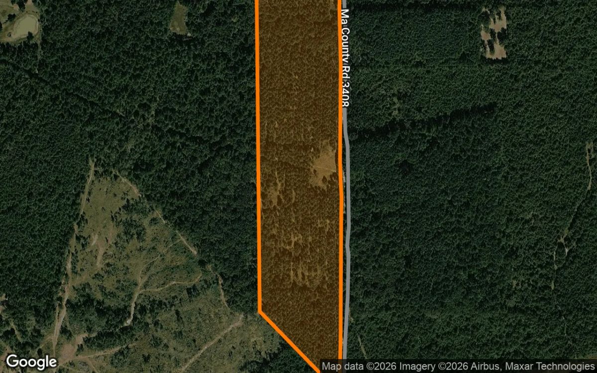 Decorative background for 35.03 Acres in Jefferson - Marion County, TX image 6
