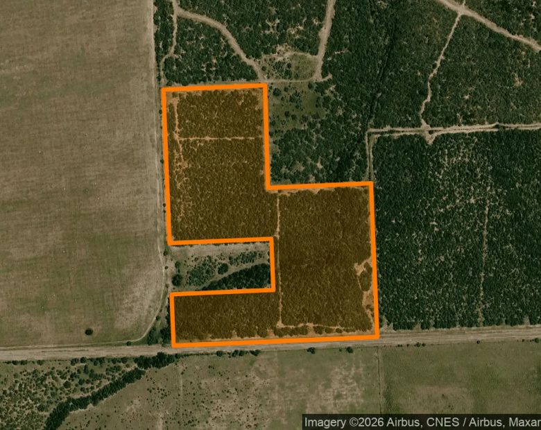 34.99 Acres in Falfurrias - Jim Wells County, TX in Jim Wells County, TX