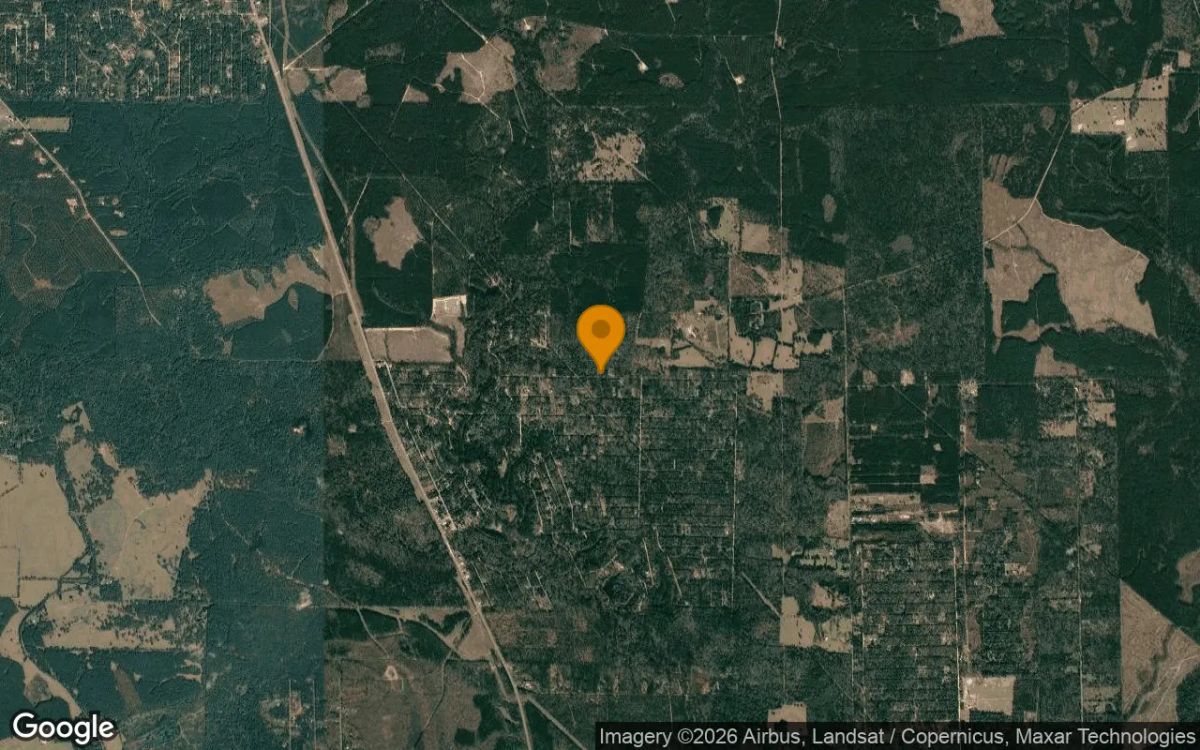 0.55 Acres in Livingston - Polk County, TX - Image 3