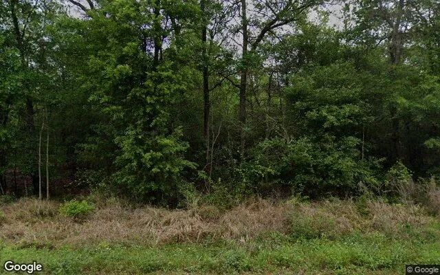 0.55 Acres in Livingston - Polk County, TX - Image 4