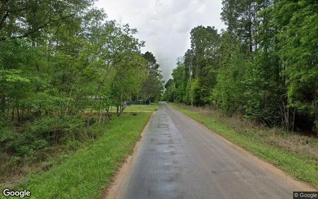 Decorative background for 0.55 Acres in Livingston - Polk County, TX image 5