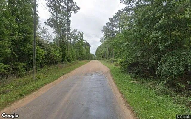 Decorative background for 0.55 Acres in Livingston - Polk County, TX image 6