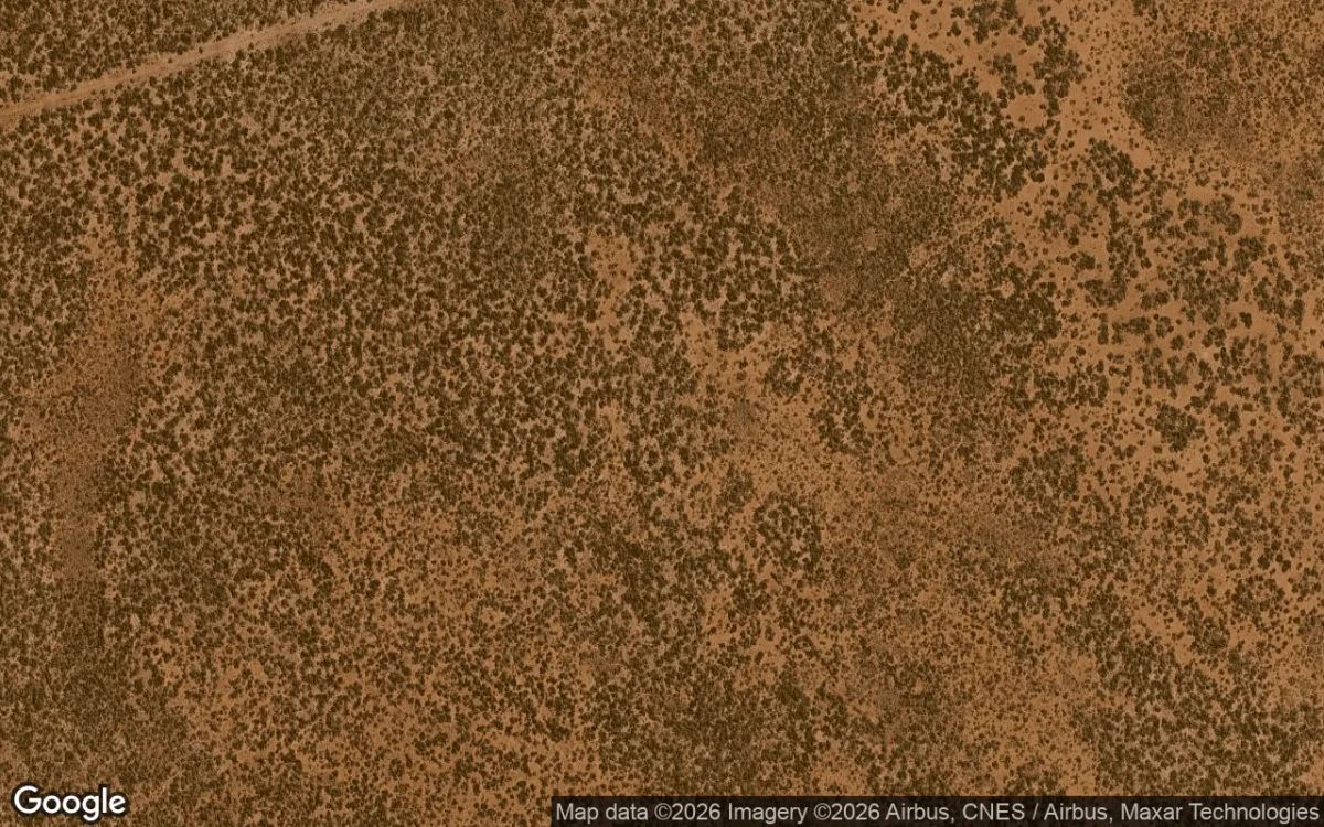 Decorative background for 628.9 Acres in Hebbronville - Jim Hogg County, TX image 6