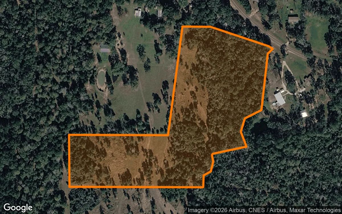 15.01 Acres in Colmesneil - Tyler County, TX - Main image