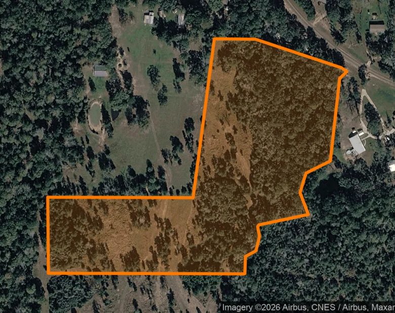 15.01 Acres in Colmesneil - Tyler County, TX in Tyler County, TX