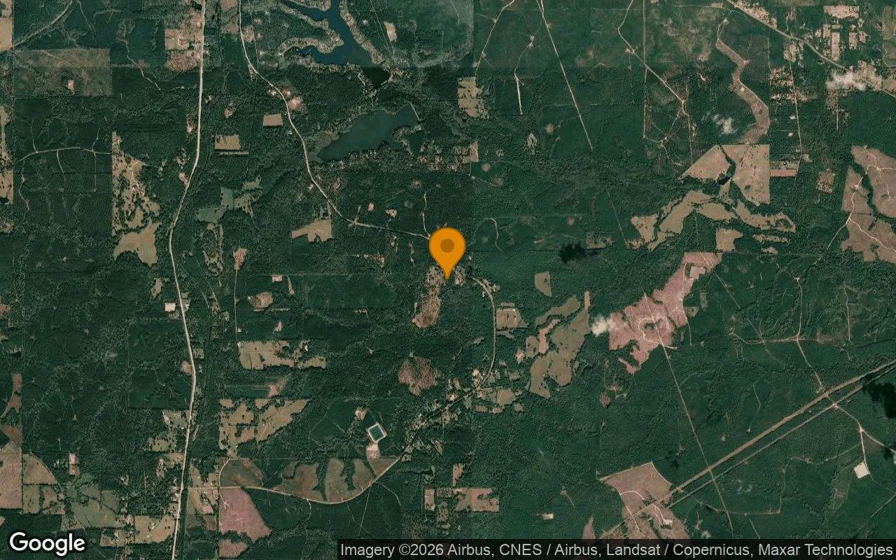 15.01 Acres in Colmesneil - Tyler County, TX in Tyler County, TX