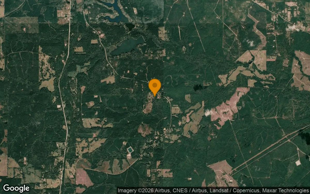 15.01 Acres in Colmesneil - Tyler County, TX - Image 3