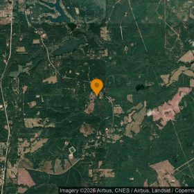 15.01 Acres in Colmesneil - Tyler County, TX in Tyler County, TX