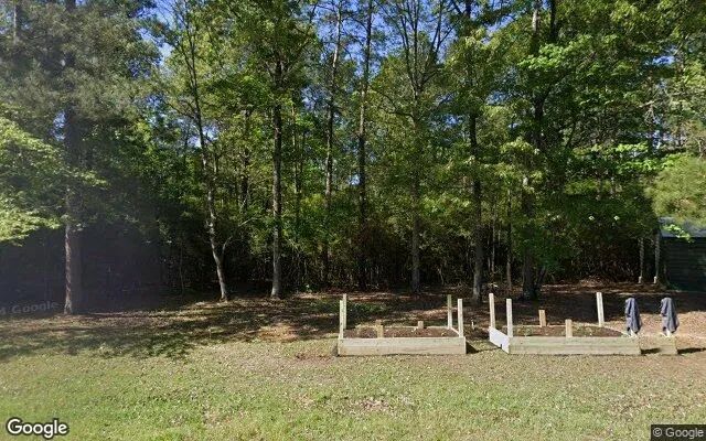 15.01 Acres in Colmesneil - Tyler County, TX - Image 4