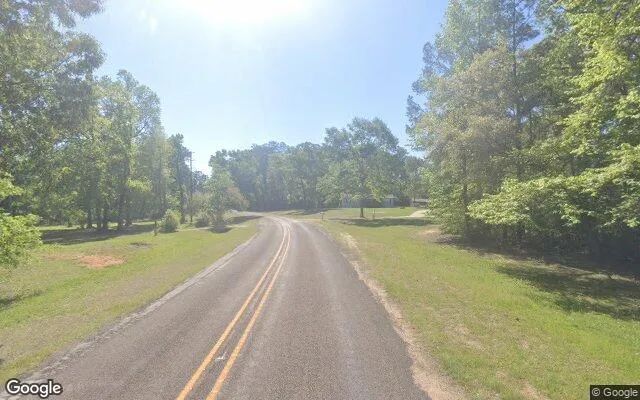 Decorative background for 15.01 Acres in Colmesneil - Tyler County, TX image 5