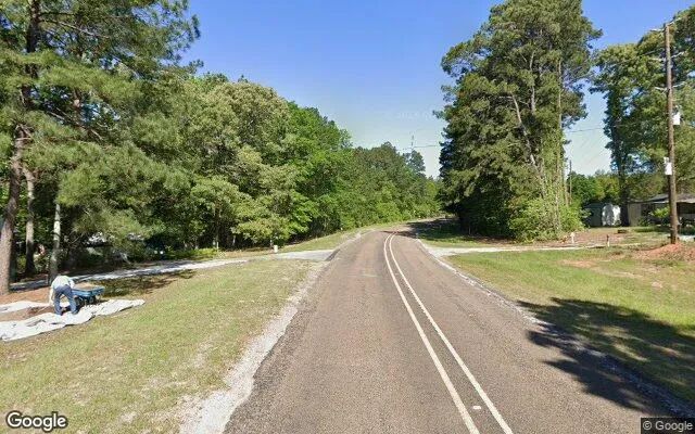 Decorative background for 15.01 Acres in Colmesneil - Tyler County, TX image 6