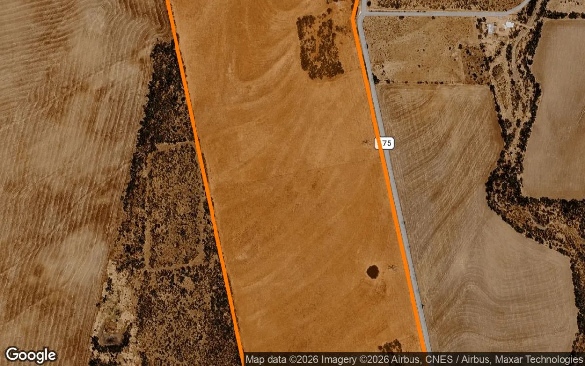 Decorative background for 124.86 Acres in Winters - Runnels County, TX image 6
