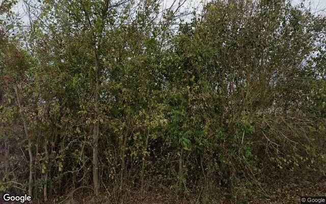 0.55 Acres in Kyle - Hays County, TX - Image 4
