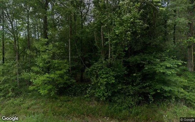 0.55 Acres in Shepherd - San Jacinto County, TX - Image 4