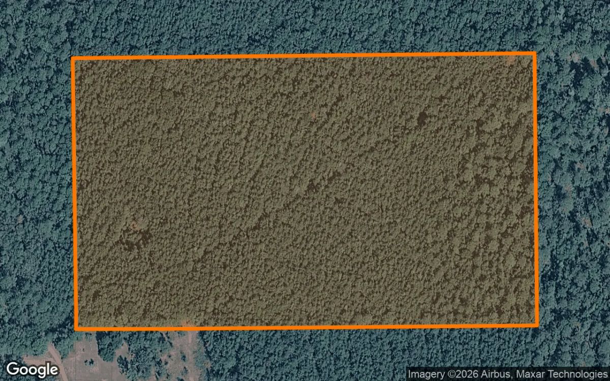 35.08 Acres in Shelby - Shelby County, TX - Main image