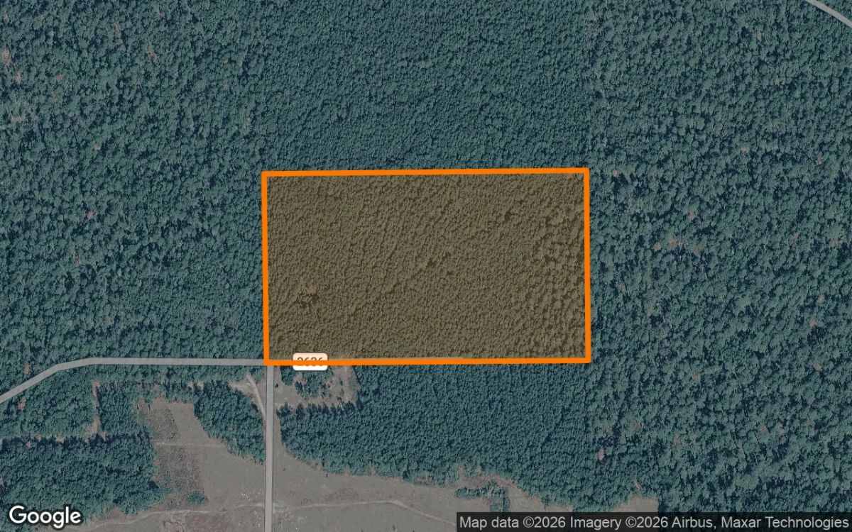 Decorative background for 35.08 Acres in Shelby - Shelby County, TX image 6