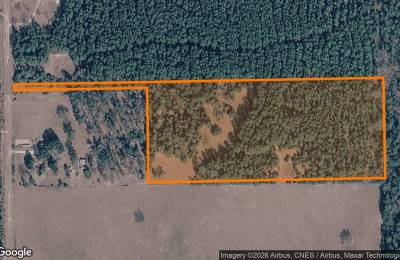 15.01 Acres in Colmesneil - Tyler County, TX