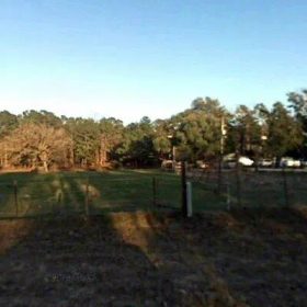 15.01 Acres in Colmesneil - Tyler County, TX in Tyler County, TX