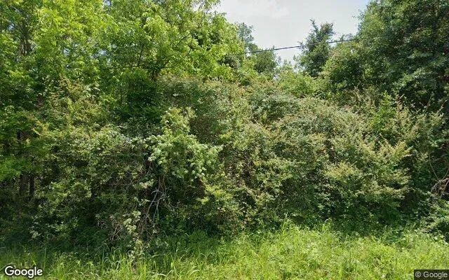 0.55 Acres in Kemp - Henderson County, TX in Henderson County, TX