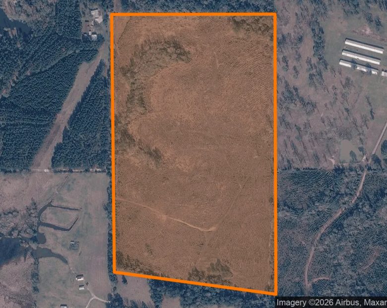 74.92 Acres in Nacogdoches - Nacogdoches County, TX in Nacogdoches County, TX