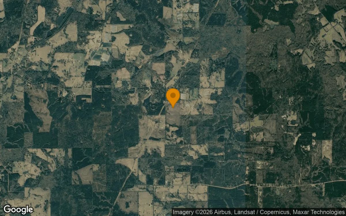 74.92 Acres in Nacogdoches - Nacogdoches County, TX - Image 3