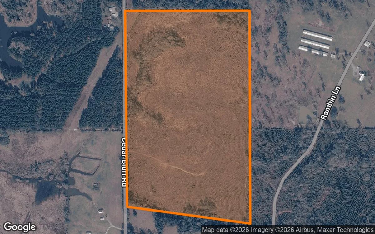 Decorative background for 74.92 Acres in Nacogdoches - Nacogdoches County, TX image 6
