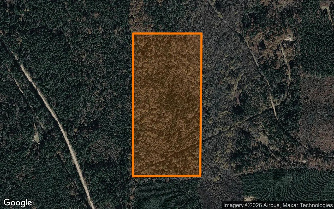 35.04 Acres in Linden - Cass County, TX in Cass County, TX
