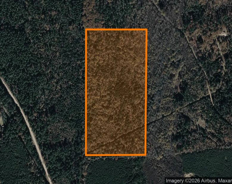 35.04 Acres in Linden - Cass County, TX in Cass County, TX