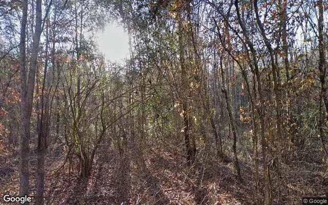 35.04 Acres in Linden - Cass County, TX - Image 4