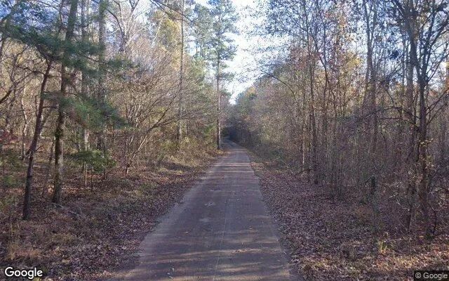 Decorative background for 35.04 Acres in Linden - Cass County, TX image 5