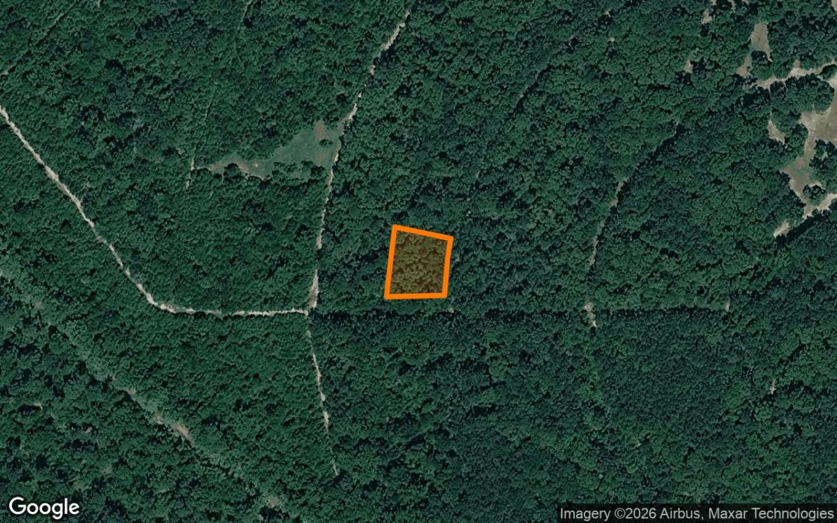 0.55 Acres in Walker - Walker County, TX - Main image