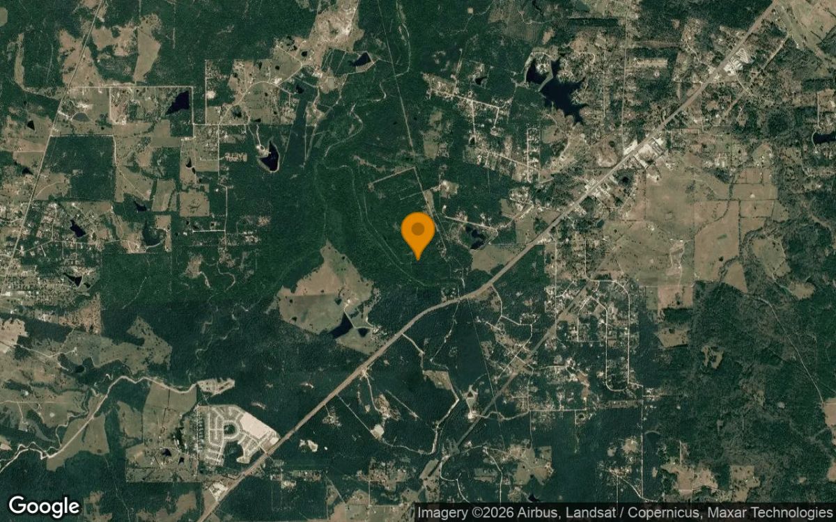 0.55 Acres in Walker - Walker County, TX - Image 3
