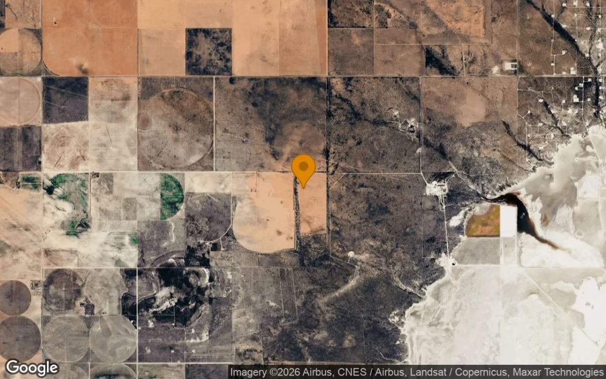 124.83 Acres in Gaines - Gaines County, TX - Image 3