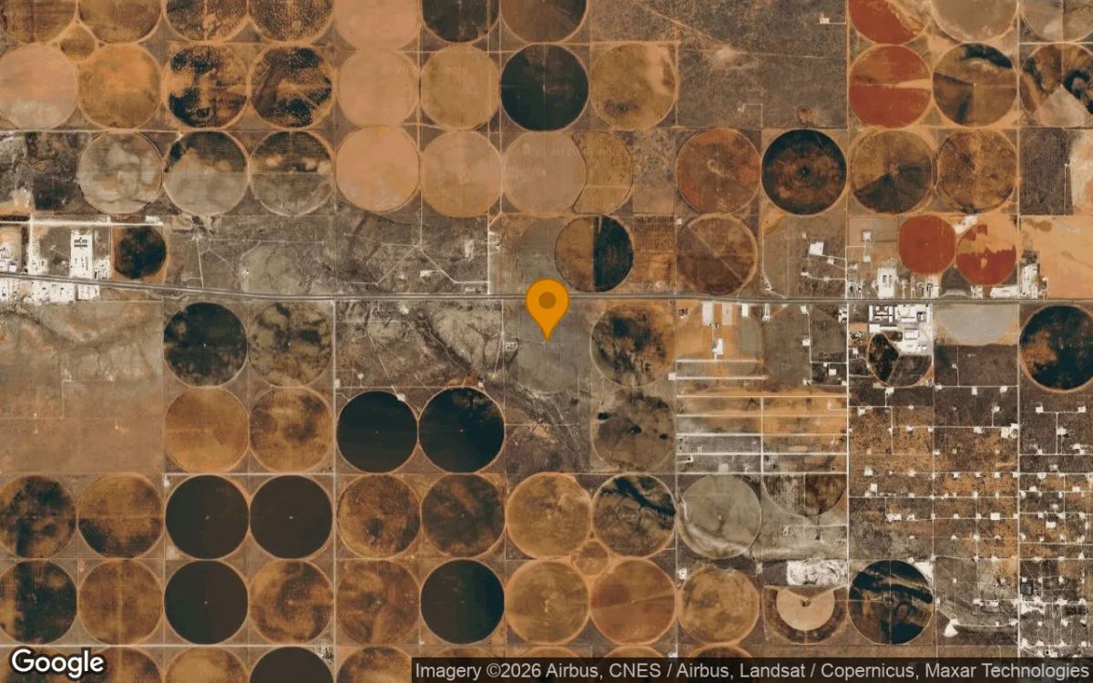 124.78 Acres in Gaines - Gaines County, TX - Image 3