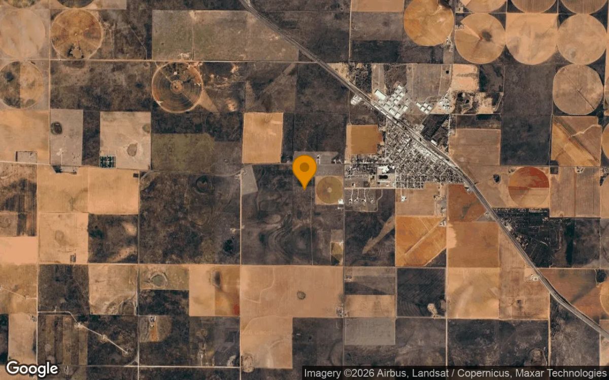 123.45 Acres in Lamb - Lamb County, TX - Image 3