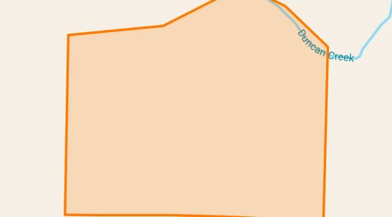 35 Acres in Comanche - Comanche County, TX in Comanche County, TX