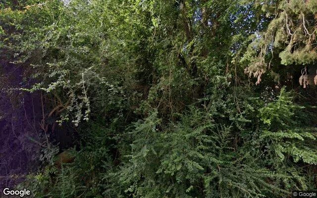 0.55 Acres in Alto - Cherokee County, TX - Image 4