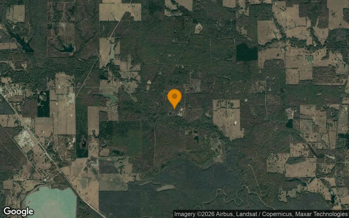 34.98 Acres in Bogata - Red River County, TX - Image 3