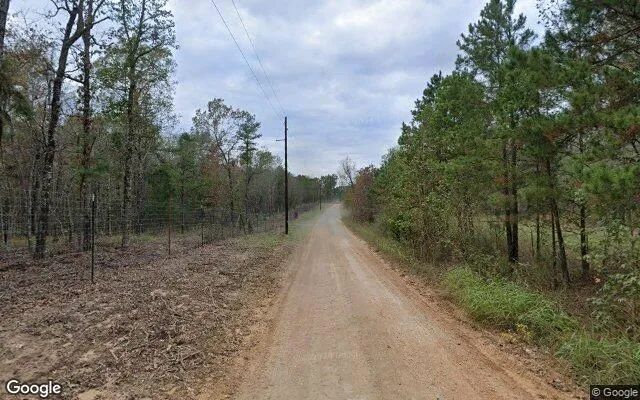 Decorative background for 34.98 Acres in Bogata - Red River County, TX image 6